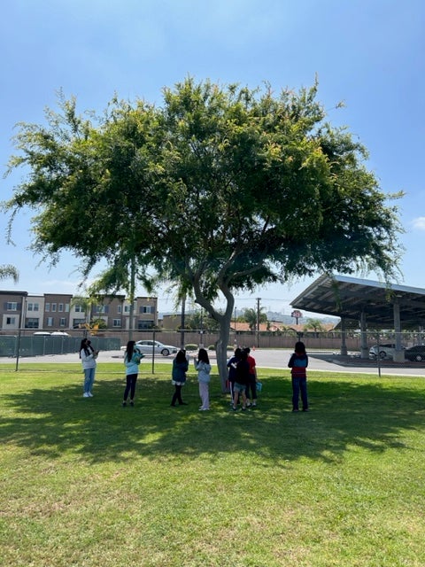 ロサンゼルス補習授業校『あさひ学園』 - JOES Magazine